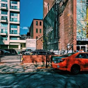 Meet your Posher, Grace